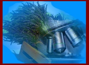 biopharmaceuticals, medical plants research