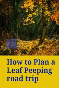 plan leaf peeping trip